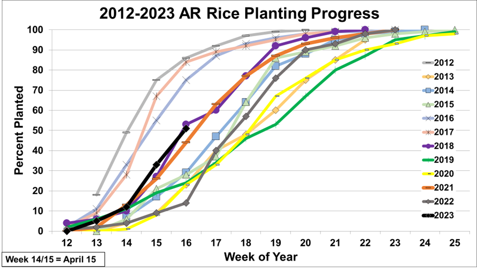 Arkansas Rice Update 42823